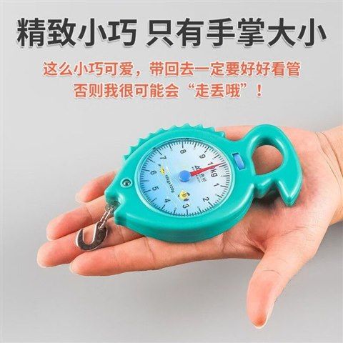 高精度专用手提秤便携式迷你弹簧秤买菜行李秤挂钩家用